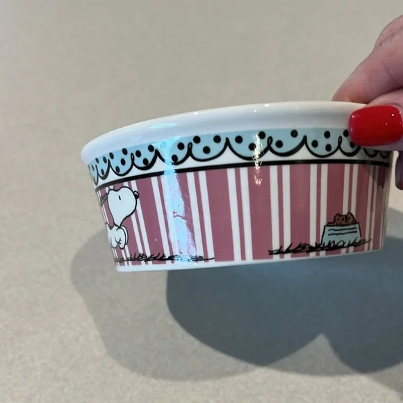 Gibson Snoopy Peanuts Dog Bowl - Picture 3 of 5